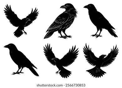 Set of Raven silhouette vector art. Crow bird icon illustration	