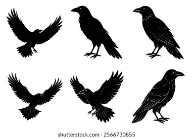 Set of Raven silhouette vector art. Crow bird icon illustration	