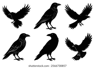 Set of Raven silhouette vector art. Crow bird icon illustration	