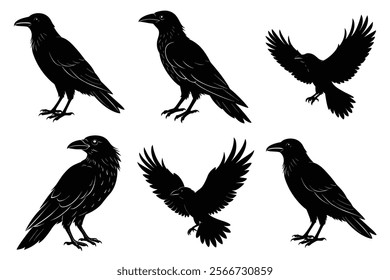 Set of Raven silhouette vector art. Crow bird icon illustration	