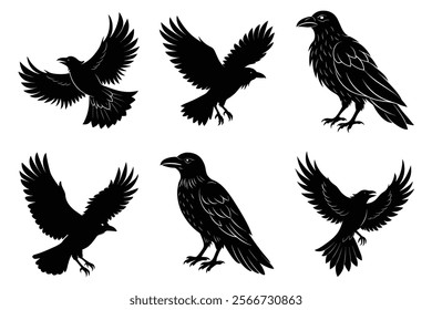 Set of Raven silhouette vector art. Crow bird icon illustration	