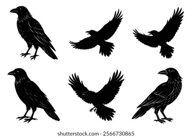 Set of Raven silhouette vector art. Crow bird icon illustration	