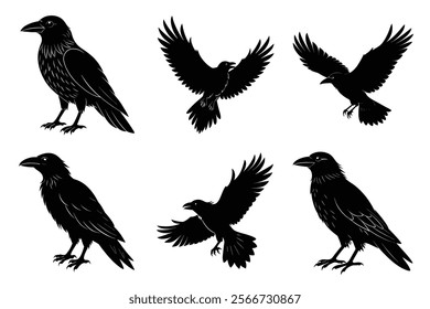 Set of Raven silhouette vector art. Crow bird icon illustration	