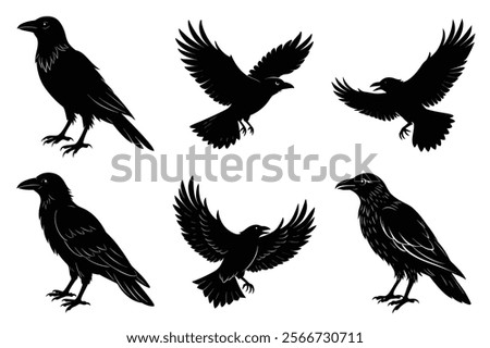Set of Raven silhouette vector art. Crow bird icon illustration	