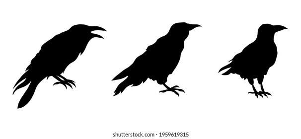 Set of ravens silhouette. A collection of black crows. Vector illustration isolated on white background EPS 10