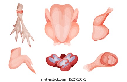 Set Of Raw Chicken Parts. Top And Side View.