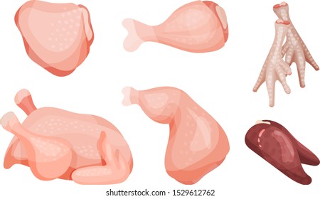 Set Of Raw Chicken Parts. Top And Side View.