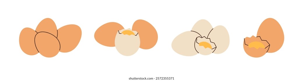 Set of raw eggs. Fresh and boiled eggs. Vector illustration.