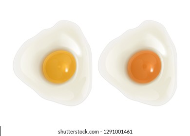 Set of raw eggs on white background, chicken eggs with bright yellow and orange yolks, top view, Realistic vector EPS 10 illustration of bird eggs