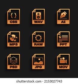 Set RAW file document, JPG, MOV, PPT, PSD and MP3 icon. Vector