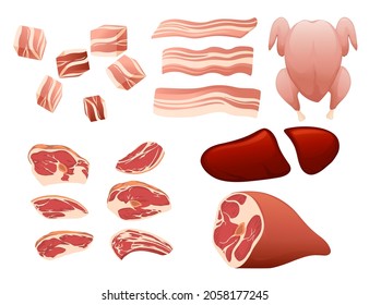 Set of raw fresh meat vector illustration on white background