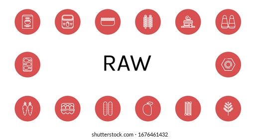 Set of raw icons. Such as Corn, Minced meat, Brussels sprouts, Butcher shop, Carrot, Egg, Cucumber, Mango, Onion, Dill, Chicken leg, Nut , raw icons