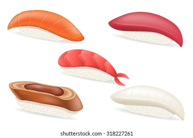 set of raw japanese sushi, vector illustration isolated on white background