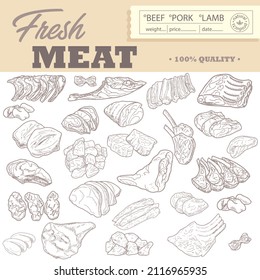 A set of raw meat. Beef, pork, lamb. Vector illustration in the style of a sketch. A booklet, banner, or flyer of a butcher shop or store.