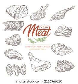 A set of raw meat. Beef, pork, lamb. Vector illustration in the style of a sketch. A booklet, banner, or flyer of a butcher shop or store.
