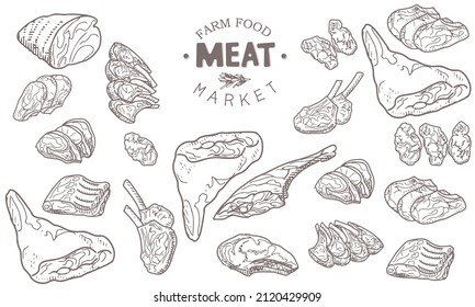 A set of raw meat. Beef, pork, lamb. Vector illustration in the style of a sketch. A booklet, banner, or flyer of a butcher shop or store.