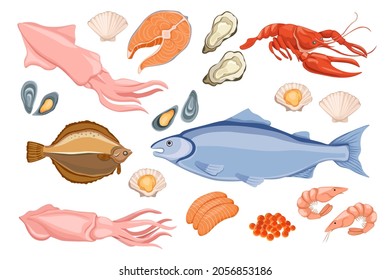 Set of Raw Seafood Flounder, Mackerel Fish, Squid and Lobster with Oysters, Scallop, Shrimps and red Caviar, Salmon or Tuna Fish Steak Isolated on White Background. Cartoon Vector Illustration