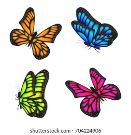 set of real colorful butterfly flying isolated