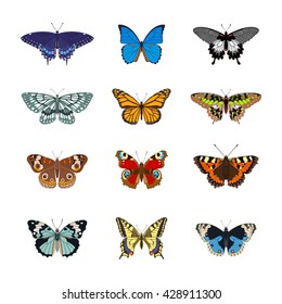 Set of realistc butterflies. Butterfly isolated on white background. Colorful butterfly. Vector illustration