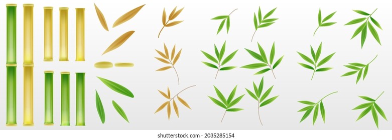 Set of realistic 3D bamboo tree leaf and stem stick elements design for background decoration. Fresh green and dried brown color. Vector illustration