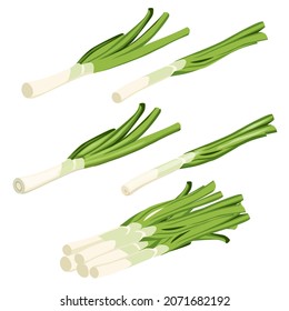 Set of realistic 3d detailed spring green onions isolated vector illustration on the white background