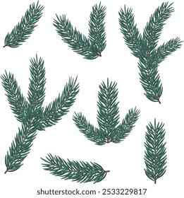 Conjunto de ramas realistas de abeto 3D para Navidades y año Nuevo sobre fondo transparente. Árbol de Navidad, pino, coníferas. Decoración de la Ilustración vectorial para la decoración de vacaciones, tarjetas, carteles, Anuncios.