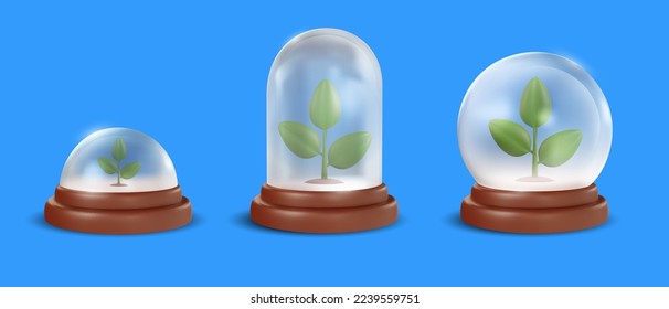 Set of realistic 3d green plant in glass dome on wooden tray isolated on blue background. Cartoon minimal design element. Vector illustration.