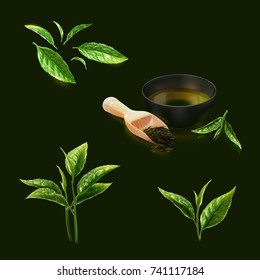 a set of realistic 3d illustration of tea leaves divided into many types such as green tea leaf, tip, tea plant, dried tea with a bowl, isolated on dark green.