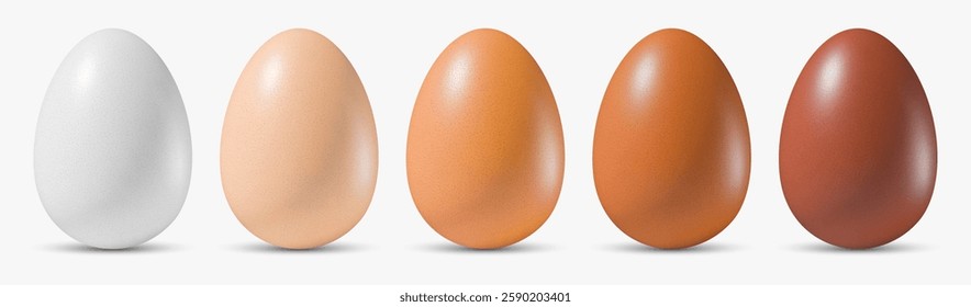 Set of realistic 3d vector egg in row, showcasing various colors from white to dark brown. Chicken different whole eggs for food design, packaging or educational materials isolated on white background
