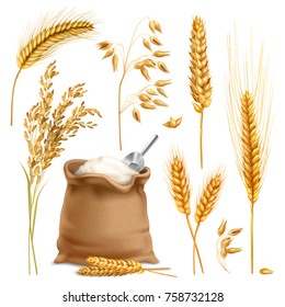 Set of realistic agricultural crops including rice, oats, wheat, barley, sack of flour isolated vector illustration   