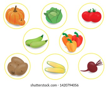 Set of realistic autumn vegetables located in yellow circles.