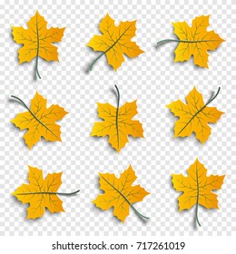 Set of realistic autumnal paper cut tree leaves with shadows isolated on transparent background, design elements for autumn season banner, poster, flyer, paper cut out art style, vector illustration