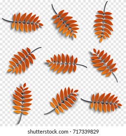 Set of realistic autumnal paper cut tree leaves with shadows isolated on transparent background, design elements for autumn season banner, poster, flyer, paper cut out art style, vector illustration