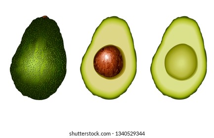 Set of realistic avocados. Whole avocado fruit, half with bone, piece without bone. Vector illustration