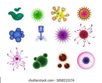 set of realistic bacteria or various microscopic virus and germs or realistic micro organism bacterium isolated. 