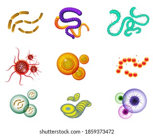 conjunto de bacterias realistas o varios virus y gérmenes microscópicos o microorganismos bacterianos realistas aislados. eps 10 vector, fácil de modificar