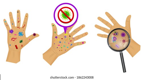 set of realistic bacteria or various microscopic virus and germs or wash hand concept isolated. eps 10 vector 