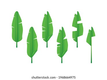 set of realistic banana leaf icons vector