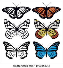 Set of realistic , beautiful, exotic, vector butterflies with colorful wings. Collection of vintage elegant illustrations of butterflies. tropical fluing insect.