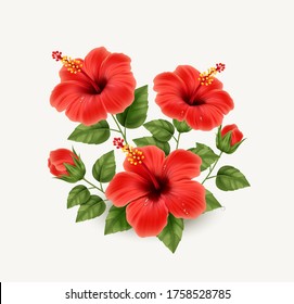 Set of realistic beautiful hibiscus flower with buds and leaves. Exotic tropical plant. Vector illustration with hibiscus flower