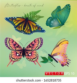 Set of realistic beautiful vector butterflies. EPS 10.