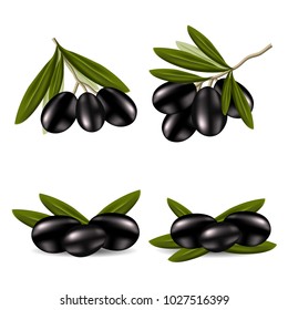 Set of realistic black olive branches isolated on a white background. Vector 3d illustration.