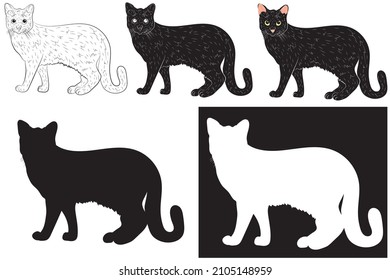 Set of Realistic black silhouette of a cat. vector illustration