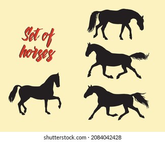 
a set of realistic black silhouettes of running horses isolated on a white background 