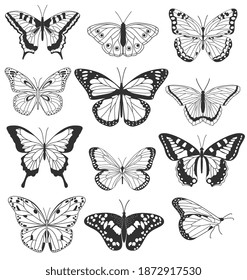 Set of realistic black and white butterflies isolated on white background. Collection of vintage elegant illustrations of butterflies. Design elements for your project. Vector illustration