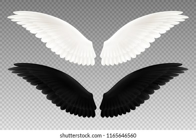 Set of realistic black and white pair of wings on transparent background as symbol of good and evil isolated vector illustration