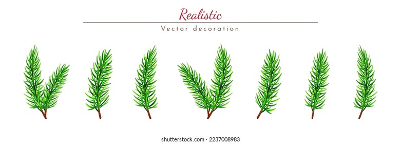 Set of realistic branches pine on white background. Christmas isolated vector illustration spruce for banner, poster, package or holiday card decoration