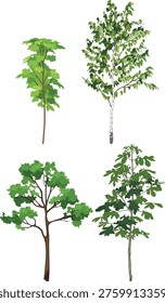 Set realistic broadleaf trees: