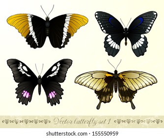 Set of realistic butterflies. EPS 10 vector illustration. Contains transparency and blending modes.