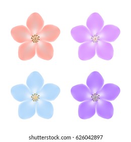 Set of realistic cherry blossoms or apple tree flowers